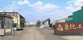 公司簡介